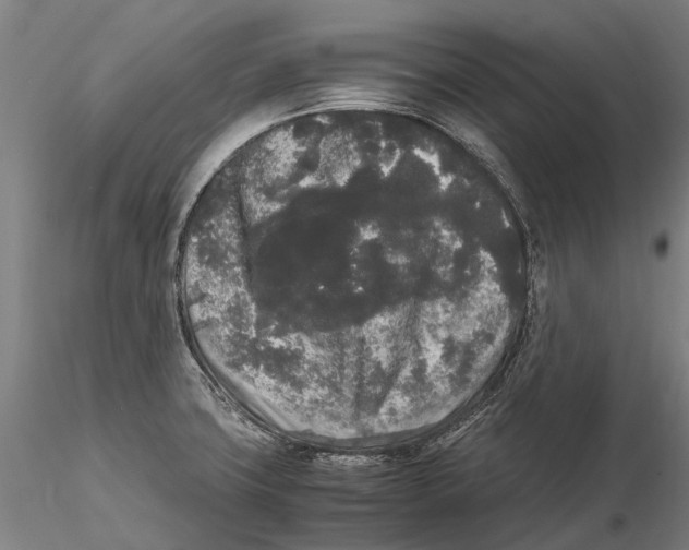 X0000115721427200912101418
