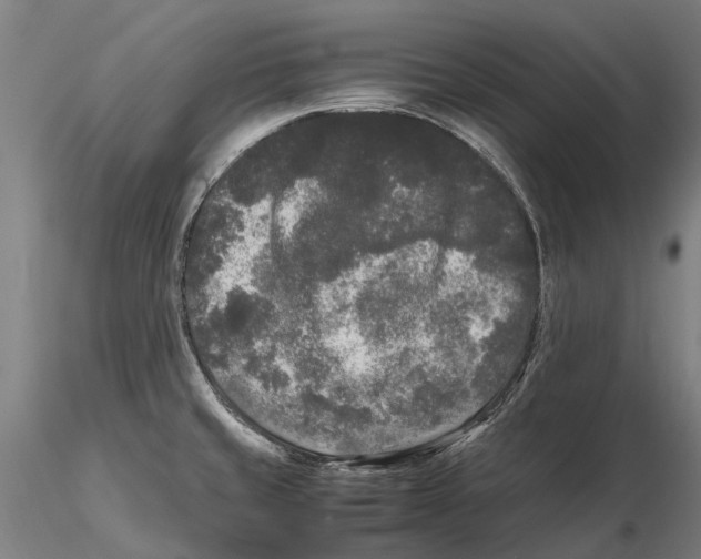 X0000115721429200912101418