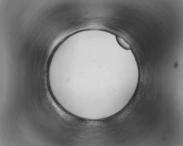 X0000115721430200912101418