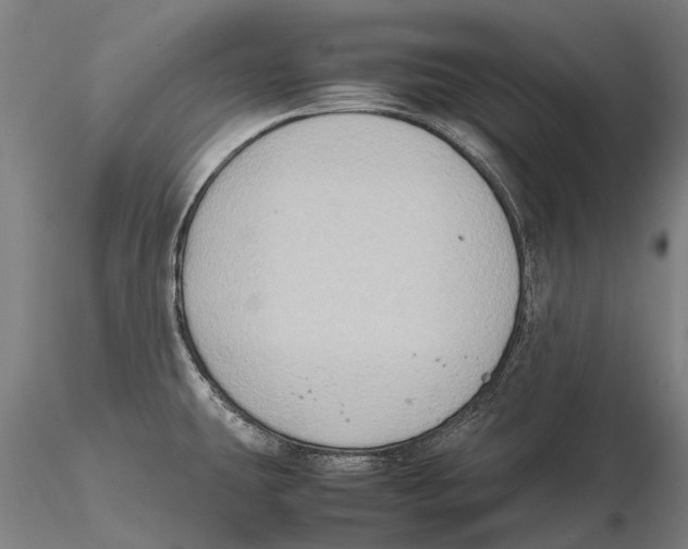 X0000115721431200912101418