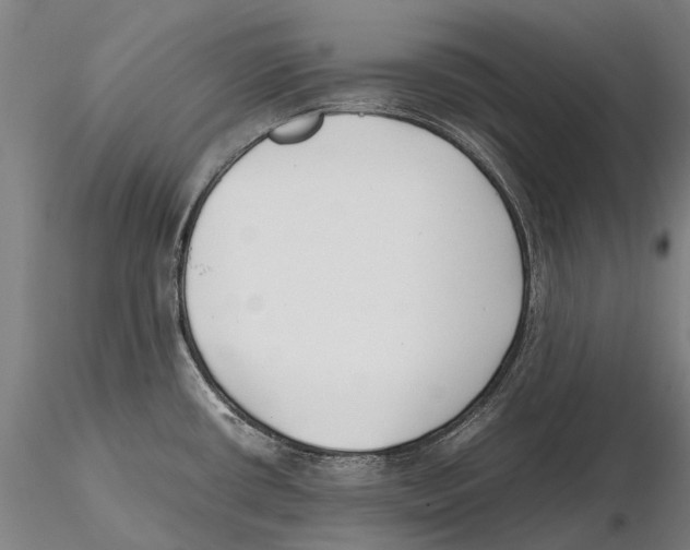 X0000115721434200912101418