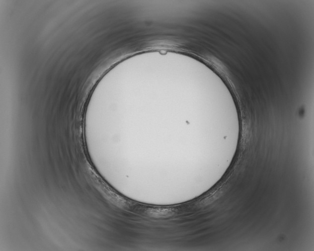 X0000115721435200912101418