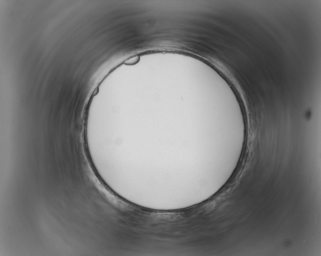 X0000115721437200912101418