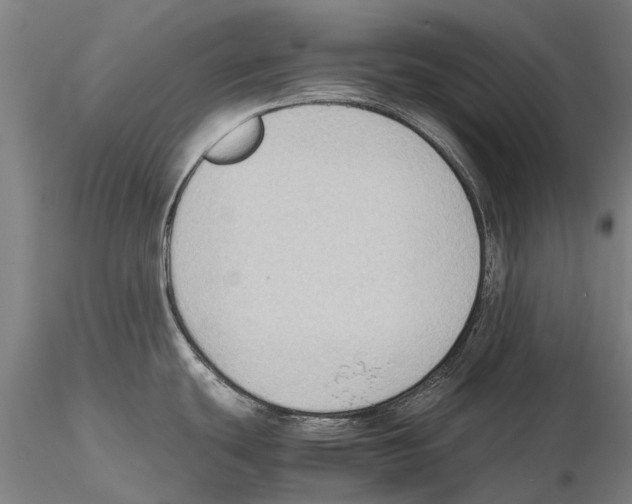 X0000115721439200912101418