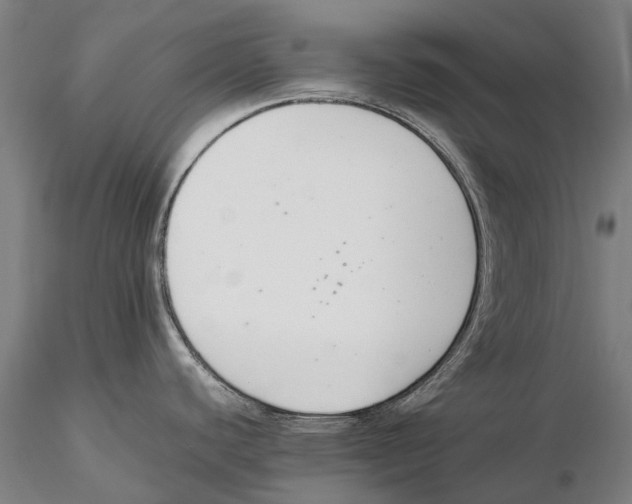 X0000115721440200912101418