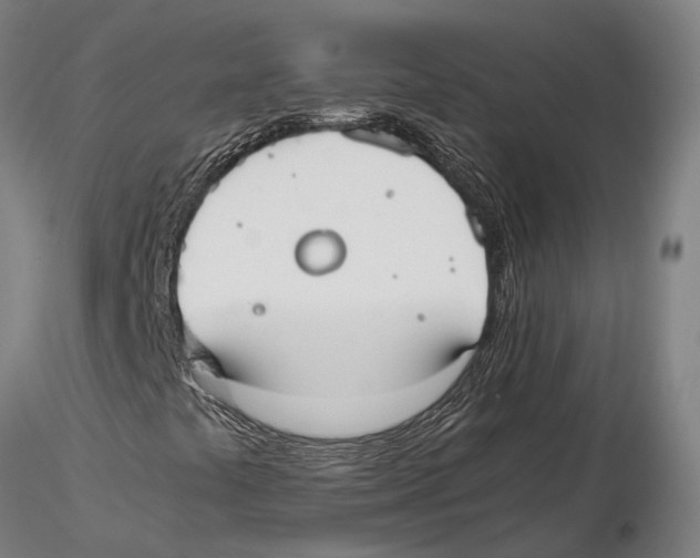 X0000115721441200912101417