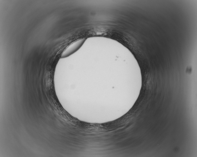 X0000115721442200912101417