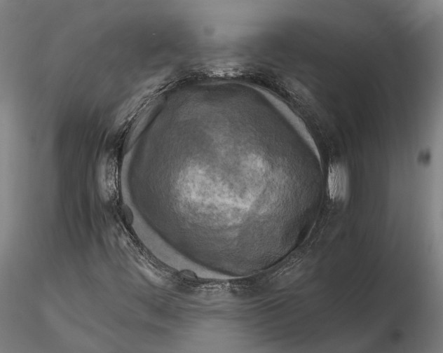 X0000115721444200912101417