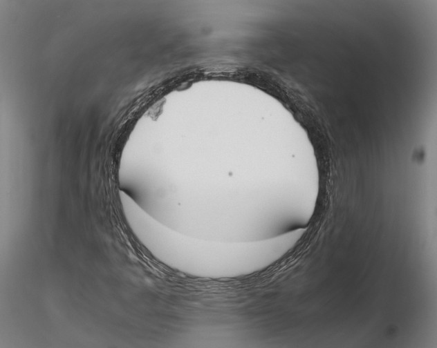 X0000115721445200912101417
