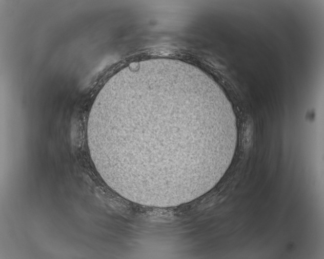 X0000115721446200912101417