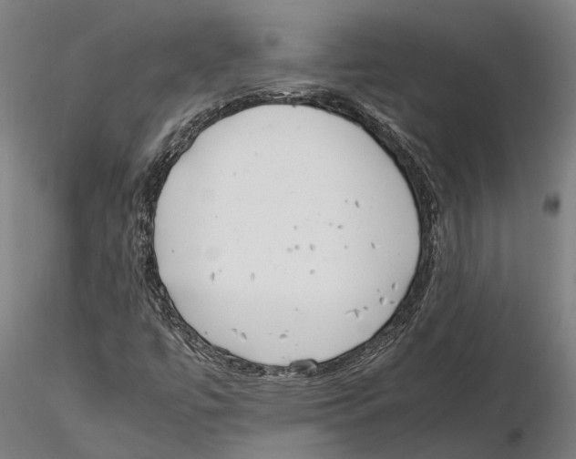 X0000115721447200912101417