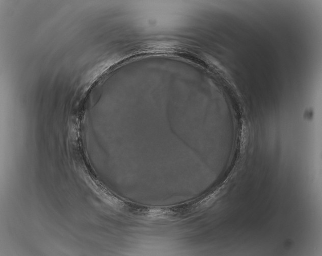 X0000115721449200912101417