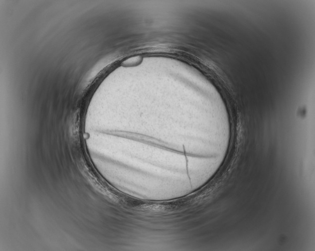X0000115721450200912101417