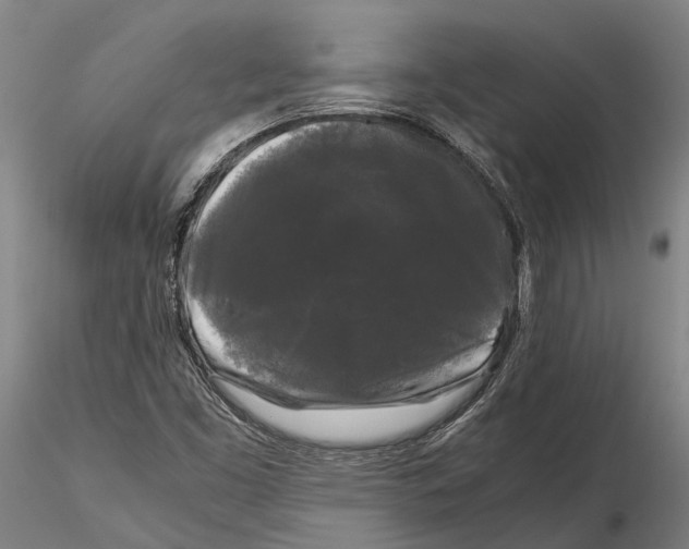 X0000115721453200912101417