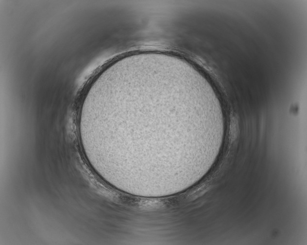 X0000115721454200912101417