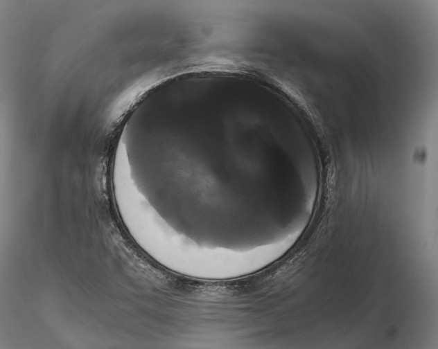 X0000115721455200912101417