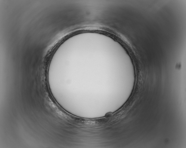 X0000115721456200912101417