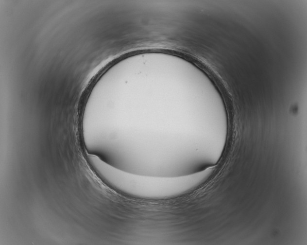 X0000115721460200912101417