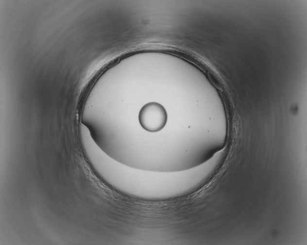 X0000115721461200912101417