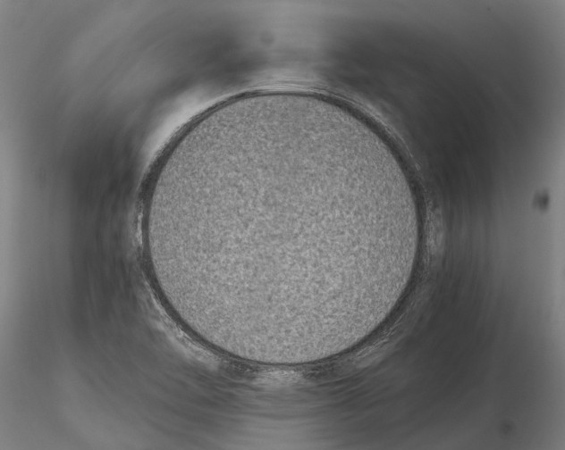 X0000115721462200912101417