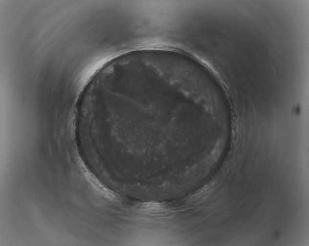 X0000115721463200912101417