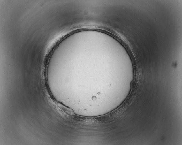 X0000115721464200912101417