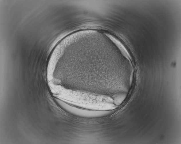X0000115721465200912101417