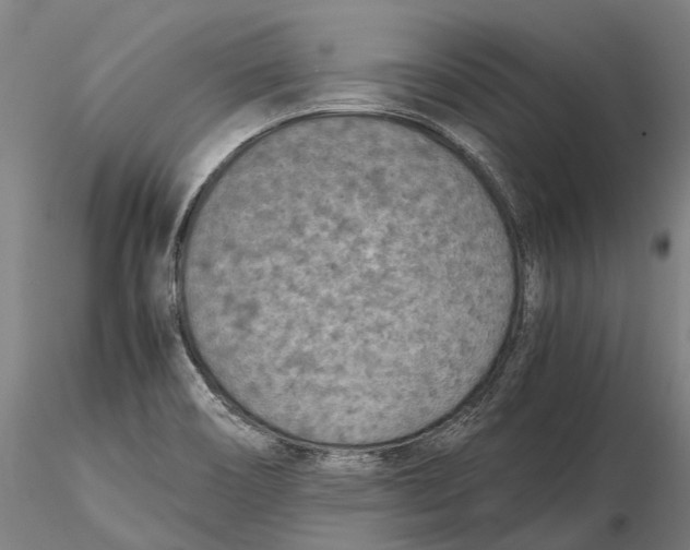 X0000115721466200912101417