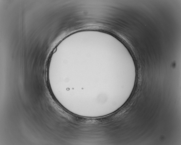 X0000115721467200912101417