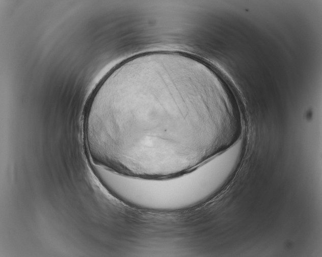 X0000115721468200912101417