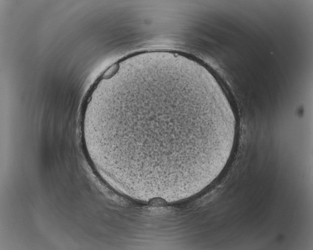 X0000115721469200912101417