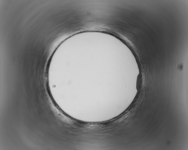 X0000115721471200912101417