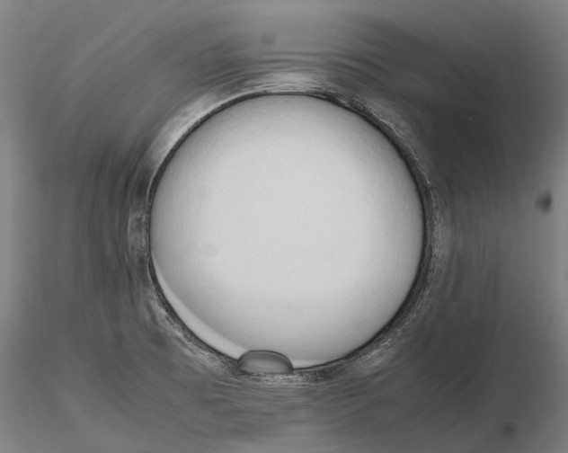 X0000115721473200912101417