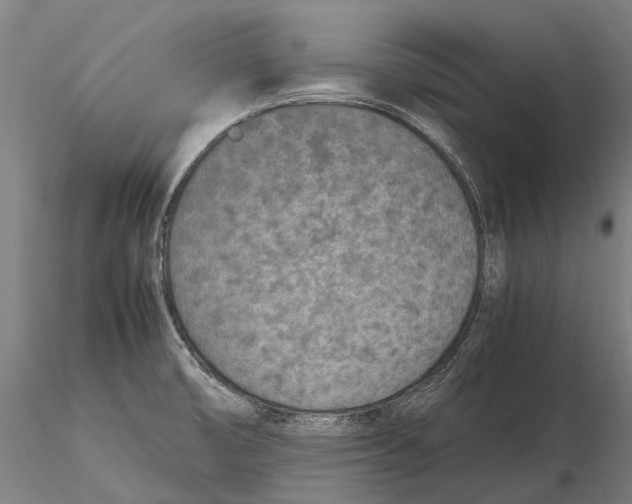 X0000115721474200912101417