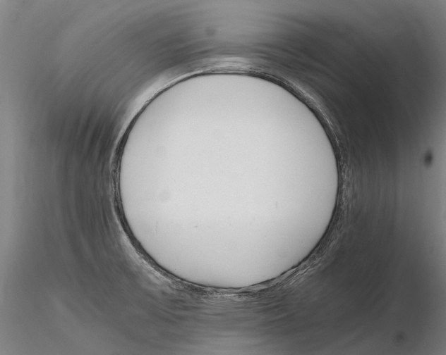 X0000115721475200912101417