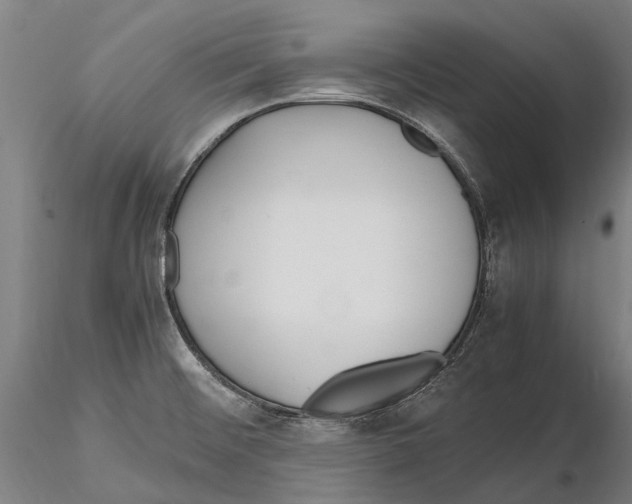 X0000115721476200912101417