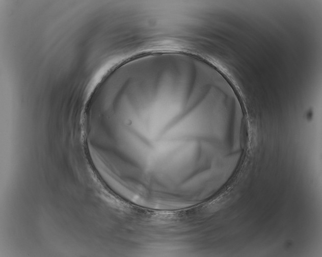 X0000115721477200912101417
