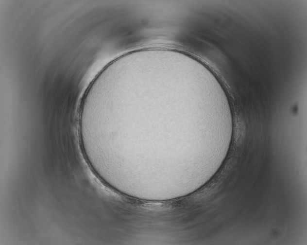 X0000115721478200912101417