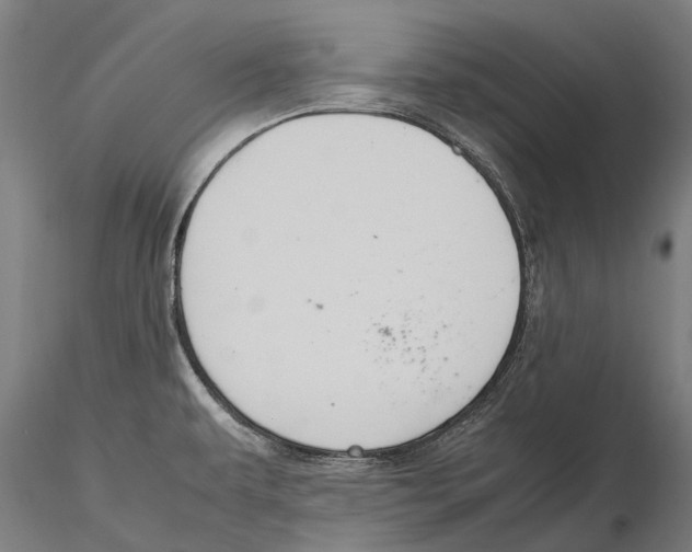 X0000115721479200912101417
