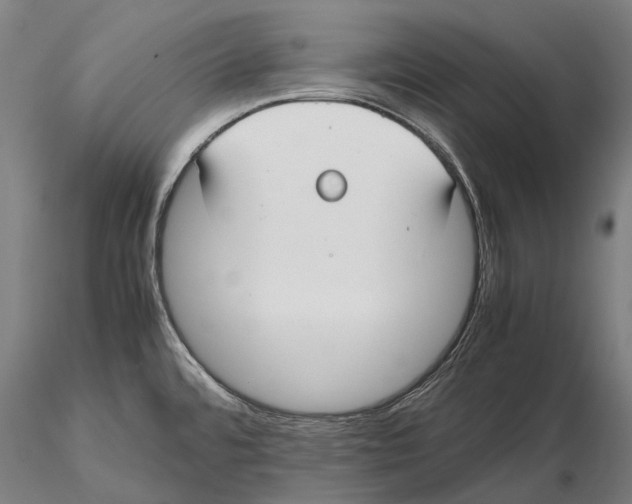 X0000115721480200912101417