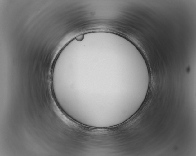 X0000115721482200912101417