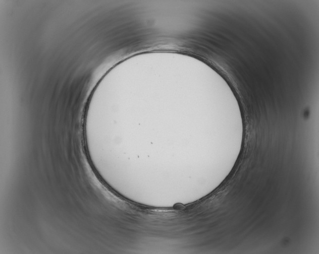 X0000115721483200912101417