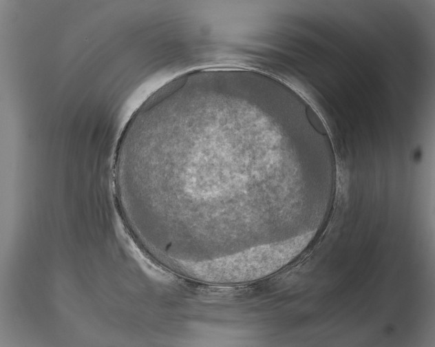 X0000115721485200912101417