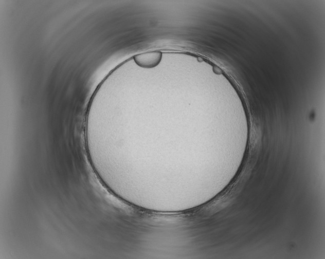 X0000115721486200912101417
