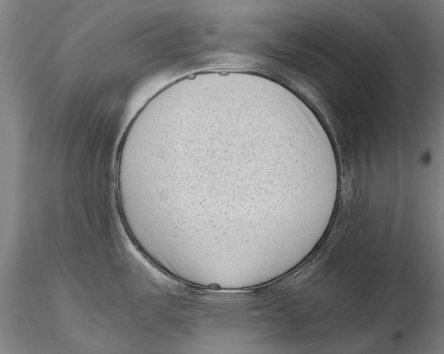 X0000115721487200912101417