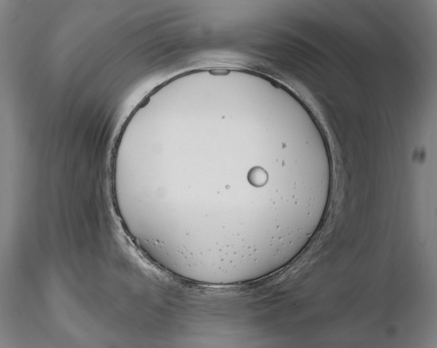 X0000115721488200912101417