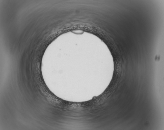 X0000115721489200912101416