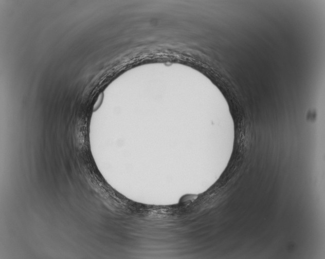 X0000115721490200912101416