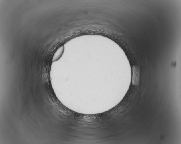 X0000115721491200912101416