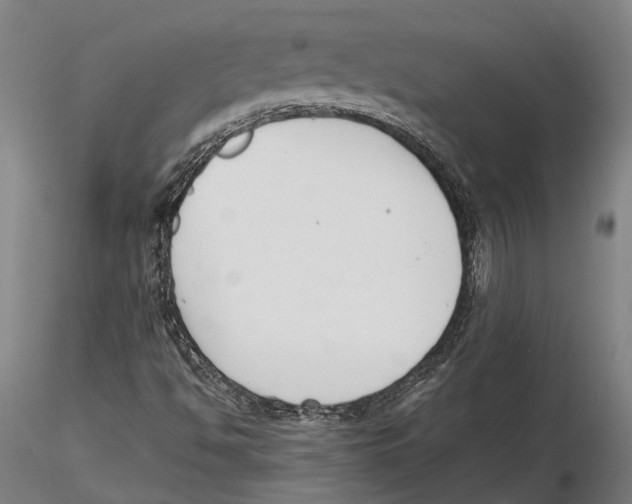 X0000115721494200912101416